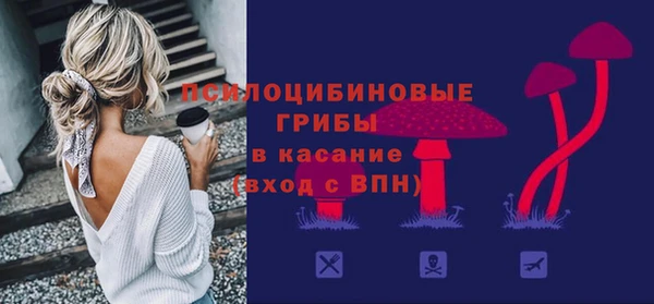 дурь Кулебаки
