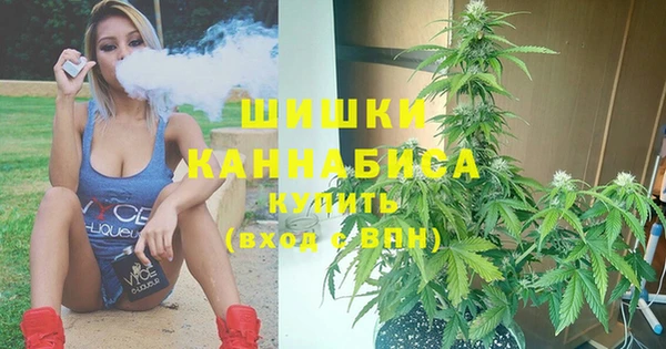 дурь Кулебаки