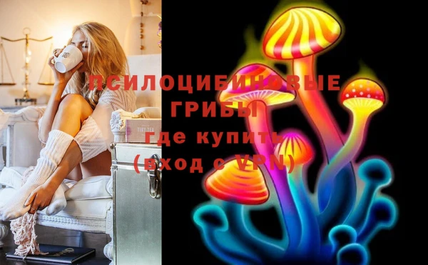 дурь Кулебаки