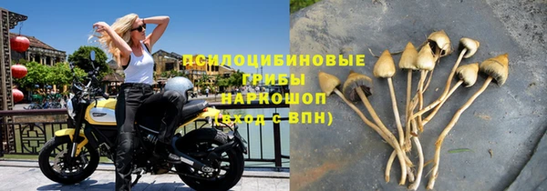 дурь Кулебаки