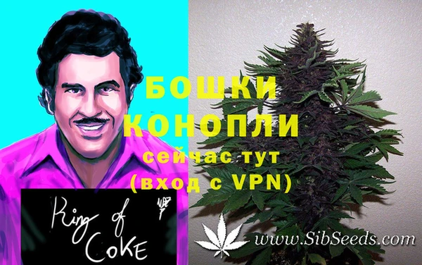 дурь Кулебаки