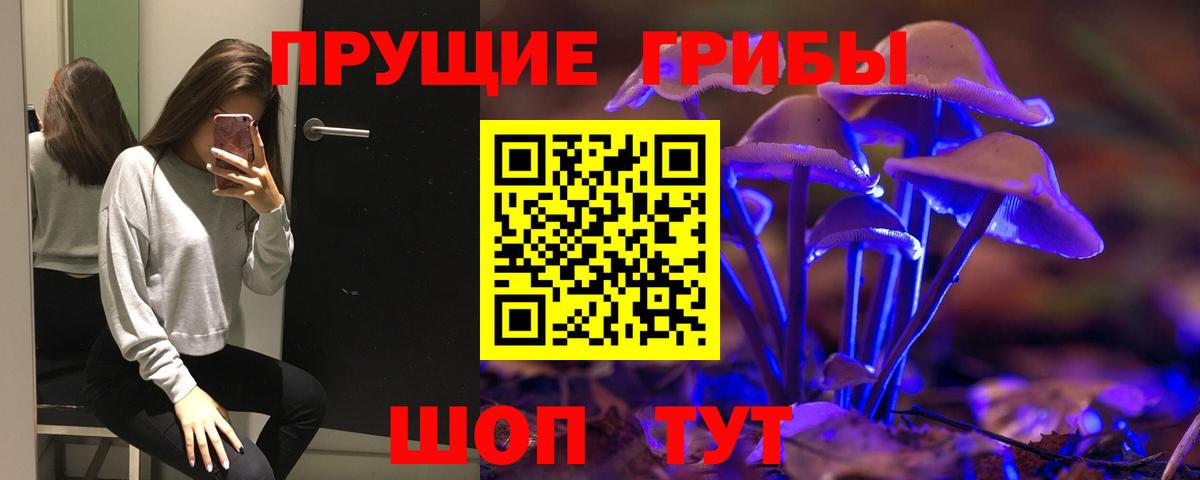 Галлюциногенные грибы GOLDEN TEACHER Донской