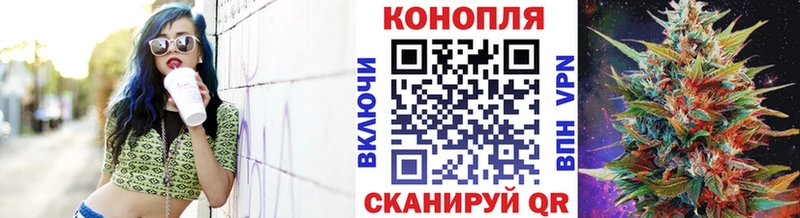 mega как зайти  Донской  Бошки марихуана OG Kush 
